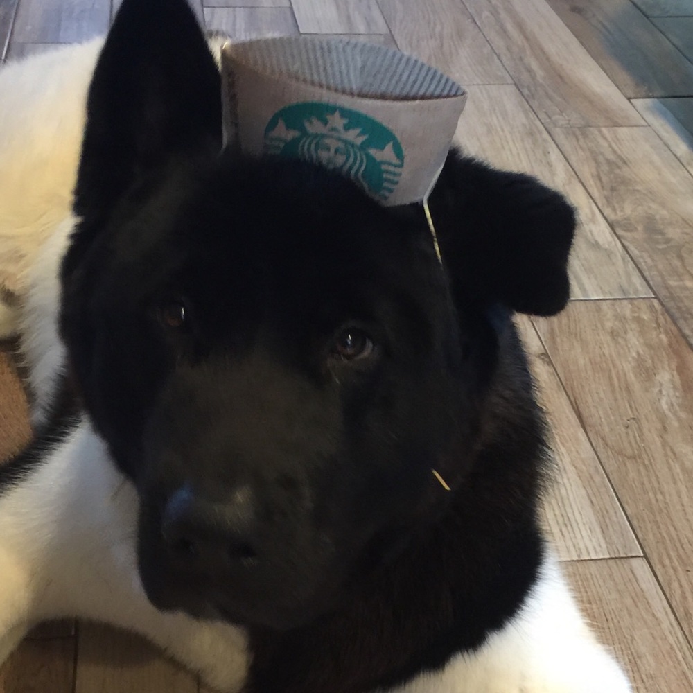 Meet your Posher, Sara